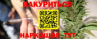 стаф Тавда