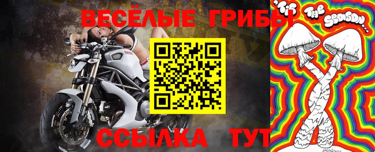 Зима  Галлюциногенные грибы мухоморы  Вход с VPN  Галлюциногенные грибы Psilocybine cubensis 