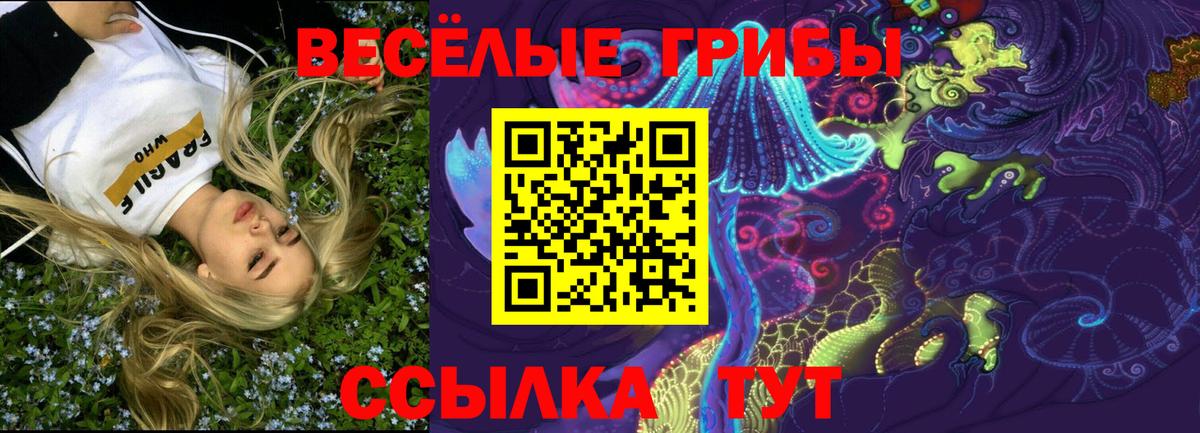 Галлюциногенные грибы Psilocybe Зима
